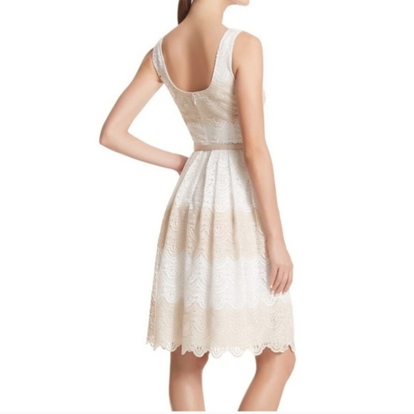 White House Black Market Lace Fit and Flare Dress Cream Champagne Tan Size 14 - Picture 13 of 14